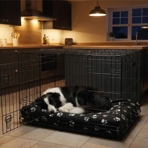 Interior de la jaula con espacio cómodo para perro mediano