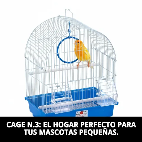 Détail du système de fermeture sécurisé de la Cage N.3