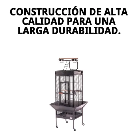 Vue latérale de la structure robuste de la cage Yaco