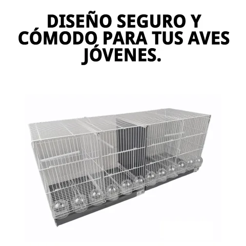 Jaulón de cría para aves con espacio amplio interior