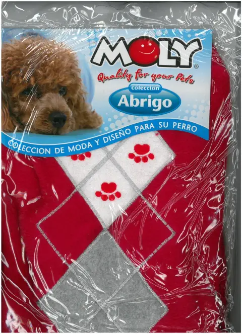 Perro mediano con jersey rombos durante paseo en clima frío