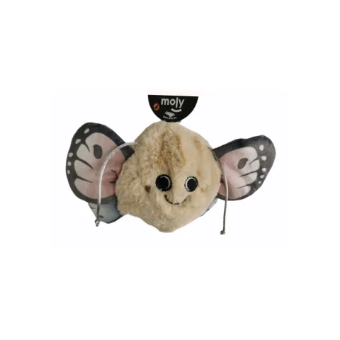 Chien petit jouant avec mordeur Butterfly de La Tribu Animale