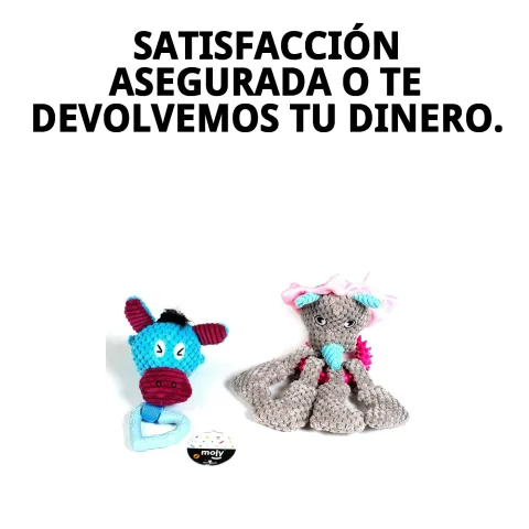 Textura del peluche punk con mordedor para perros