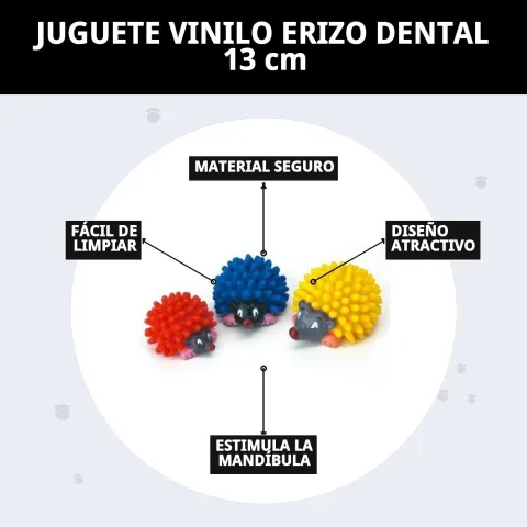 Juguete dental erizo para perros en superficie blanca