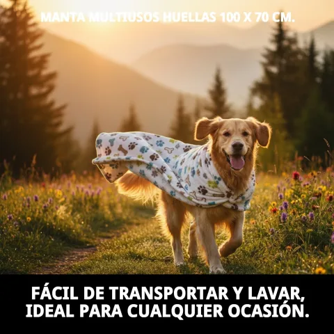 Uso de manta para proteger asiento de coche