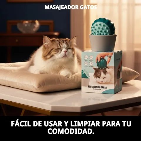 Main appliquant un massage avec le massageur à un chat domestique