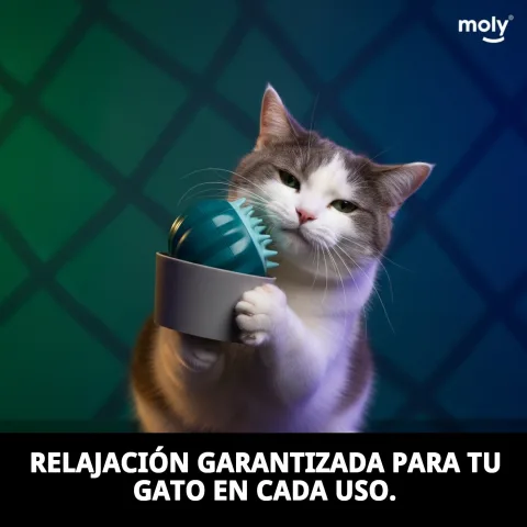 Détail des brosses douces du massageur pour chats