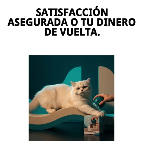 Brosses du massageur pour chats en gros plan