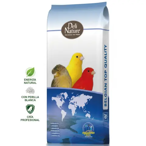 Gros plan sur les graines du mélange premium pour canaris