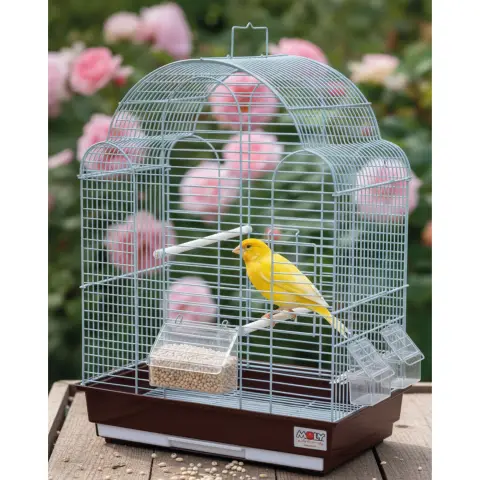 Gros plan sur graines naturelles premium de mijo blanc pour alimentation d'oiseaux
