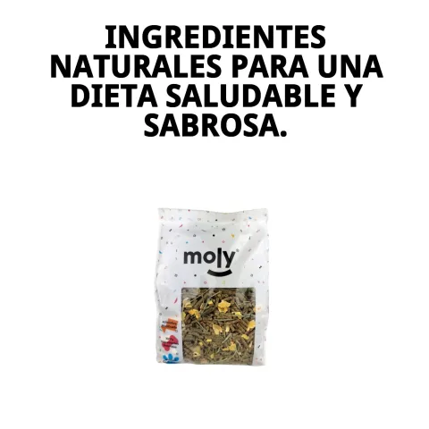 Detalle de semillas y vegetales deshidratados en el alimento Moly