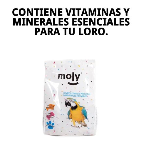 Loro comiendo mixtura Moly 600 gr