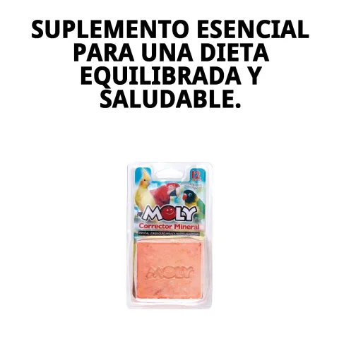 Alimentation pour perroquets avec supplément de calcium MOLY
