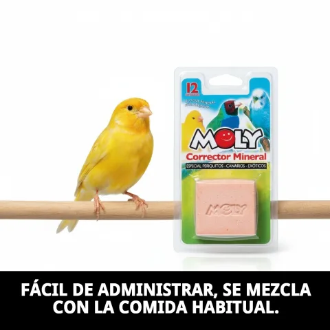 MOLY CALCIO OISEAUX à côté d'une cage d'oiseaux domestiques