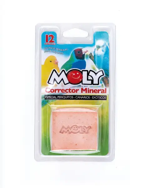 MOLY CALCIO OISEAUX 100 gr
