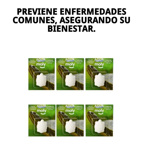 Bouteille de conditionneur d'eau MOLY pour tortues en grand aquarium