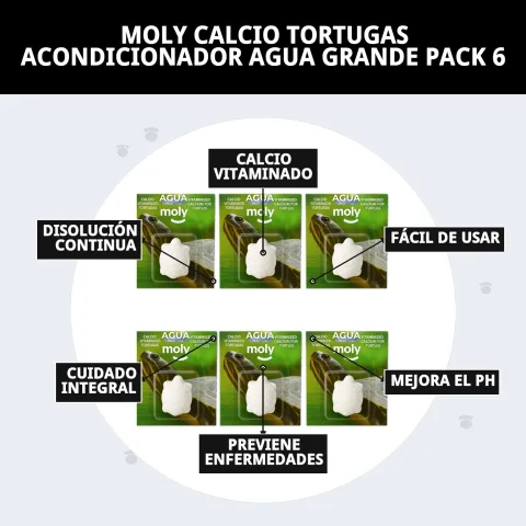 Utilisation du conditionneur MOLY dans un aquarium de tortues