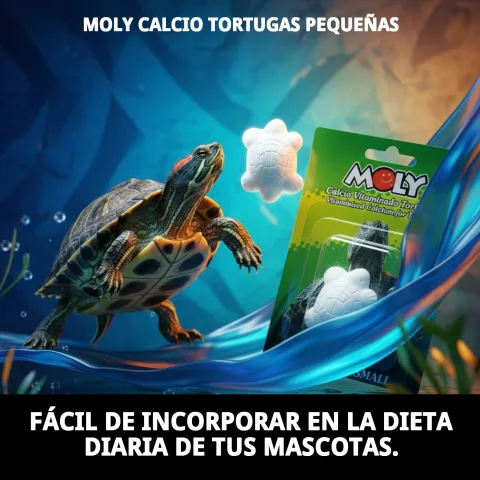 Alimento con suplemento MOLY Calcio espolvoreado