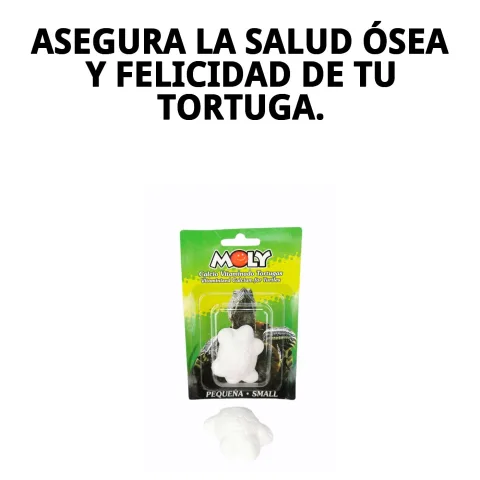 Tortuga en hábitat con suplemento de calcio
