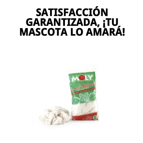 Cama Moly en jaula limpia y ordenada para roedores