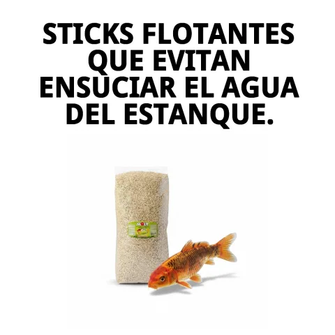 Gros plan sur sticks flottants MOLY Estanque pour poissons