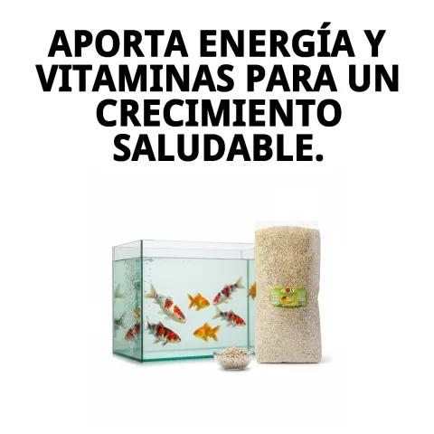 Présentation 5 kg MOLY Estanque Sticks pour poissons