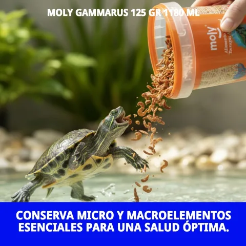 Présentation de MOLY GAMMARUS pour alimentation aquatique