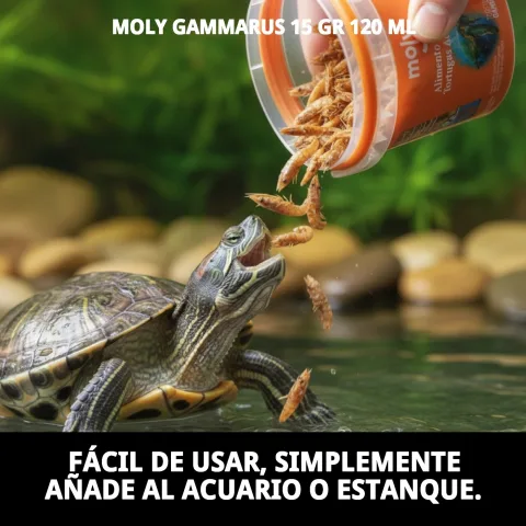 Détail de la texture de l'aliment Moly Gammarus pour poissons
