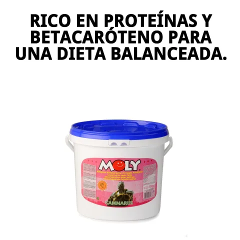 Vue latérale du conditionnement MOLY GAMMARUS 500 gr