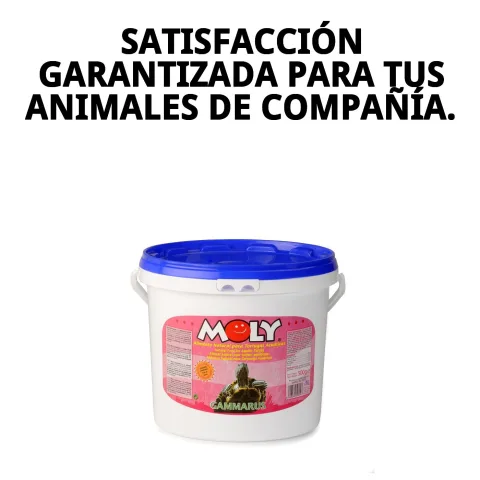 Conditionnement MOLY GAMMARUS sur fond aquatique