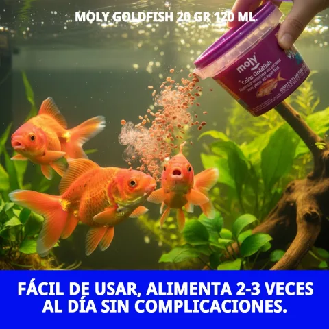Vue latérale de MOLY GOLDFISH avec instructions