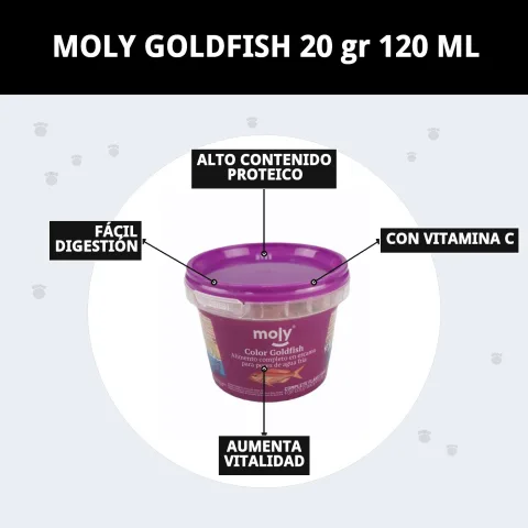 Goldfish se nourrissant avec MOLY GOLDFISH dans un aquarium
