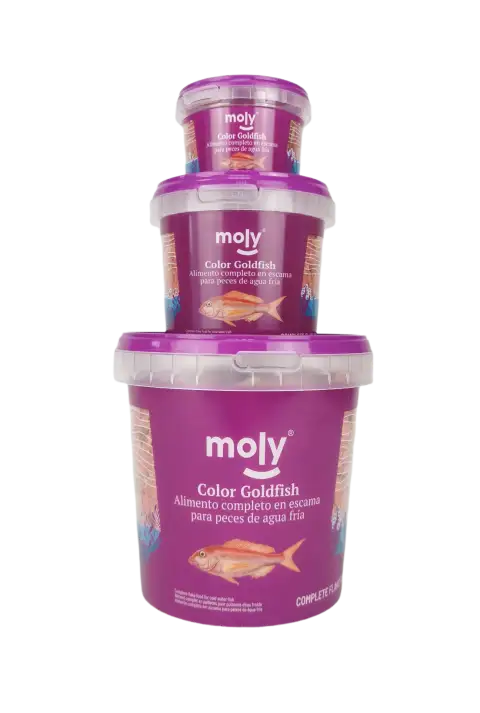 Flocons d'aliment pour goldfish MOLY Goldfish Color
