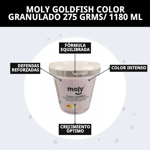 Détail de la texture du granulé MOLY Goldfish
