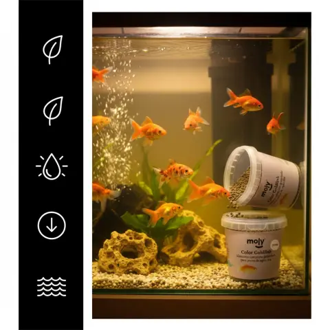 Aliment équilibré pour poissons rouges MOLY Goldfish Color