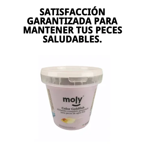 Granulé MOLY Goldfish dans un aquarium