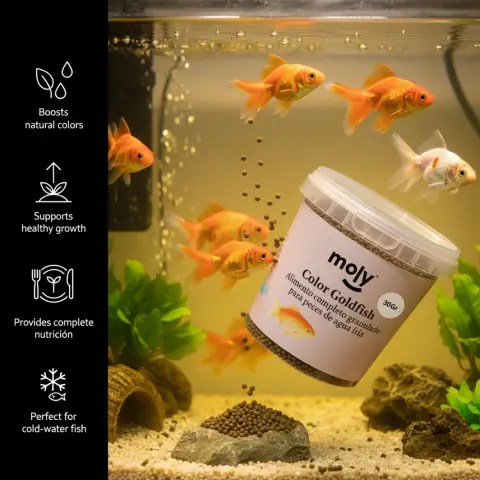 Aliment pour poissons d'eau froide en conditionnement compact