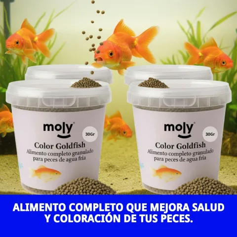 Aliment granulé pour poissons d'eau froide Moly Goldfish Color