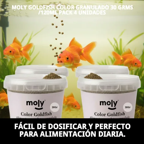 Granulés d'alimentation pour poissons en gros plan