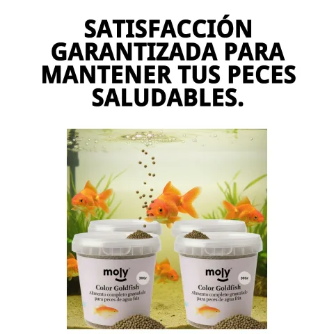 Nourriture naturelle pour poissons Moly Goldfish Color