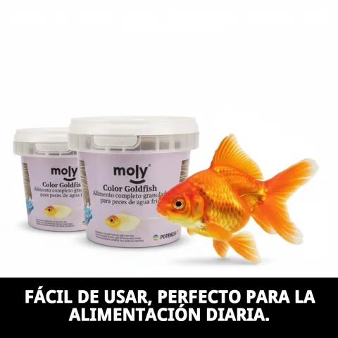 Emballage avec étiquette visible de MOLY Goldfish Color Granulé