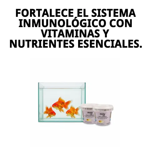 Présentation de 75 grammes de MOLY Goldfish Color Granulé