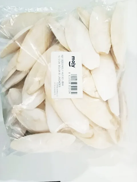 Détail de l'os de seiche MOLY de 15 cm pour chien