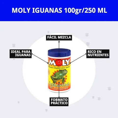 Presentación cómoda y fácil de almacenar MOLY IGUANAS