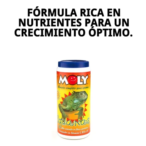 Envase de MOLY IGUANAS con fondo natural