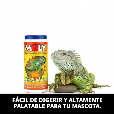 Alimento MOLY IGUANAS junto a frutas y verduras frescas