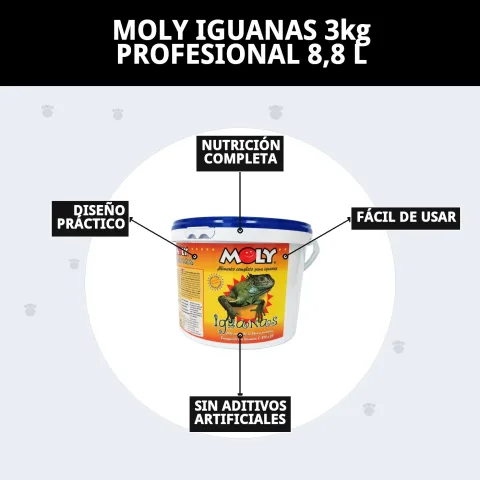 Iguana verde en su hábitat con dieta complementada