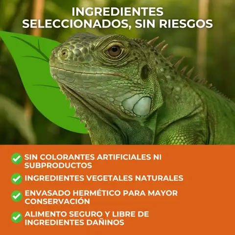 Detalle de textura de los sticks para iguanas
