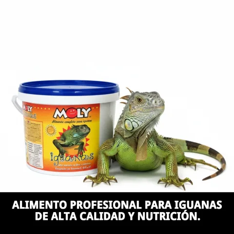 Composición natural del alimento para iguanas verdes