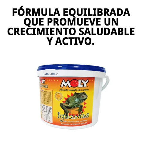 Iguana saludable gracias a alimentación equilibrada
